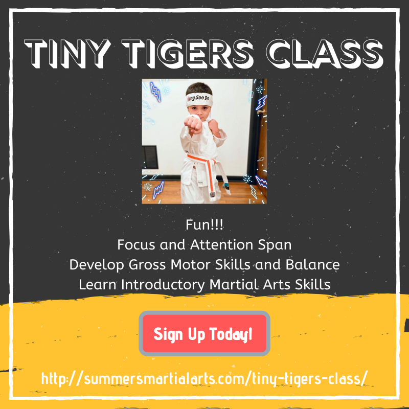 tiny tigers class, 6 year old, 4 year old, 5 year old, fun, gross motor skills, balance, attention span, introductory marital arts, focus